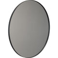 Thumbnail photo of UNU Mirror 4131