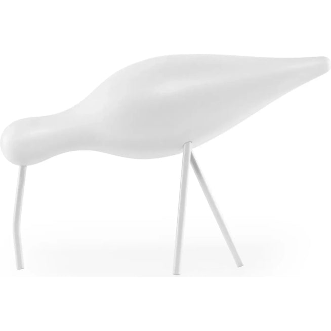 Photo of Shorebird White