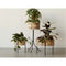 Thumbnail photo of Umanoff Planter
