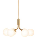 Thumbnail photo of Apiales 6 Chandelier