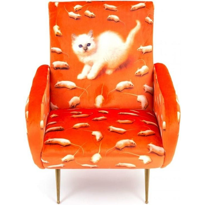 Photo of Kitten armchair