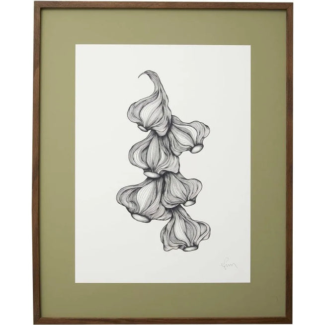 Photo of Garlic Illustration - Dark Oak