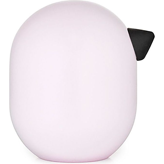 Photo of Little Bird Colour