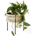Umanoff Planter