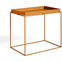 Tray Table Large 40x60 Fra Hay 1