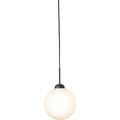 Thumbnail photo of Apiales 1 Pendant Large