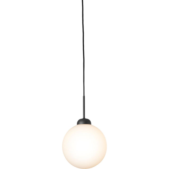Photo of Apiales 1 Pendant Large