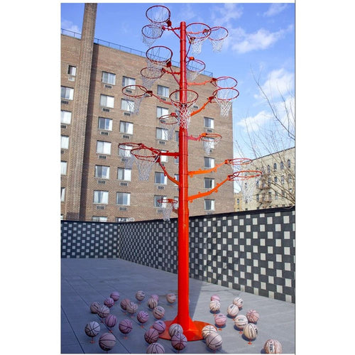 Photo of Orange tree