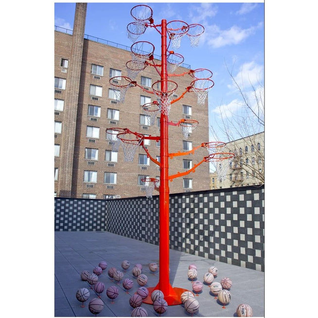 Photo of Orange tree