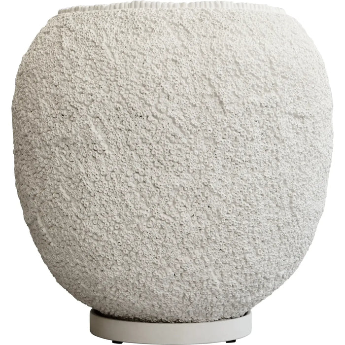 Photo of Sunao Plant Pot Big