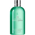 Wild Mint & Lavandin Bath & Shower Gel
