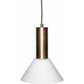 Thumbnail photo of Contrast Hanging Lamp