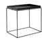 Tray Table Large 40x60 Fra Hay 1