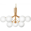 Thumbnail photo of Apiales 9 Chandelier