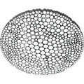 Thumbnail photo of Calipso Ceiling Lamp