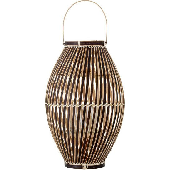 Photo of Jurassic Lantern - Natural