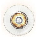 Thumbnail photo of New Wave Optic XL Wall Lamp 1