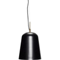 Thumbnail photo of Pendant Light 1