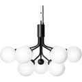 Thumbnail photo of Apiales 9 Chandelier