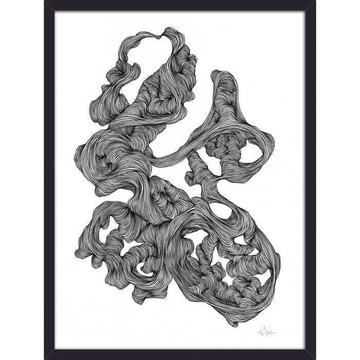 Photo of Rocaille Illustration - Black and White