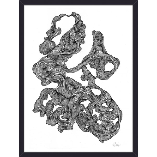 Photo of Rocaille Illustration - Black and White