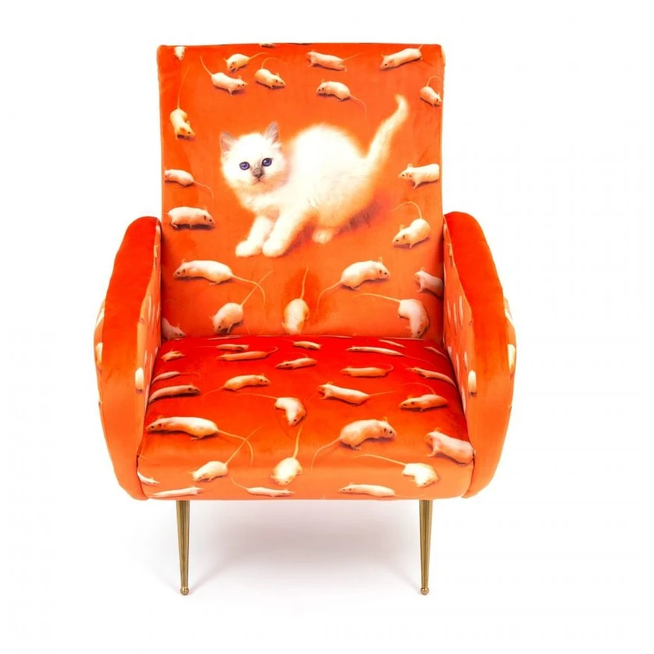 Photo of Kitten armchair