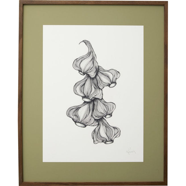 Photo of Garlic Illustration - Dark Oak