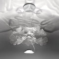 Thumbnail photo of Chlorophilia Pendant Led Chrome App