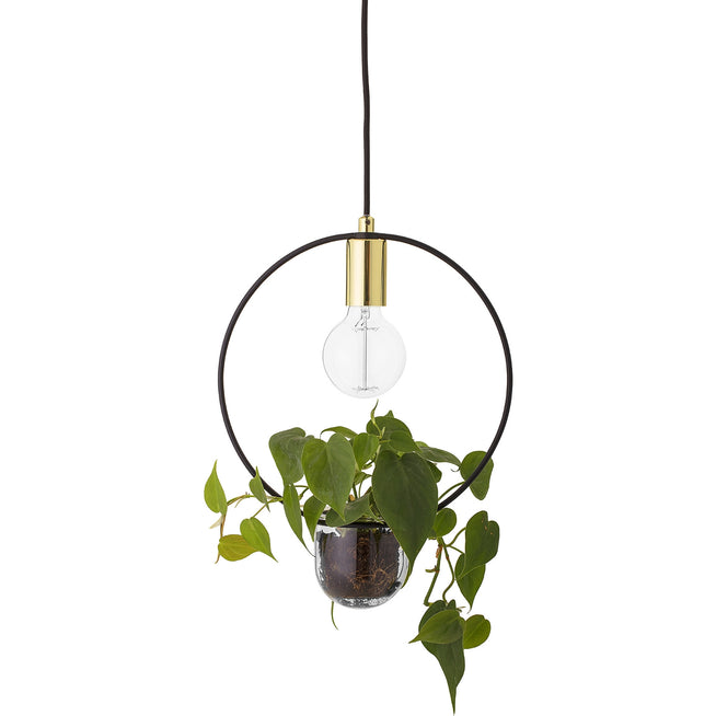 Photo of Hanging Lamp Gold Finished Glass