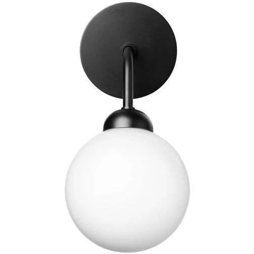 Apiales Wall Lamp