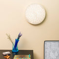 Thumbnail photo of Calipso Ceiling Lamp