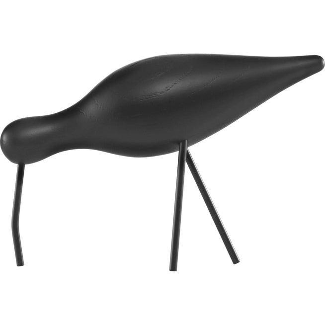 Photo of Shorebird Black