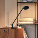 Demetra Micro Desk Lamp