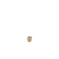Thumbnail photo of Little Bird Oak