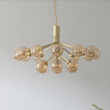 Apiales 18 Chandelier