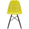 Eames Plastic Chair Dsw - 34 Mustard - Black Maple - Matstolar - Charles & Ray Eames - Gul - Metall/trä/plast