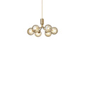Thumbnail photo of Apiales 6 Chandelier