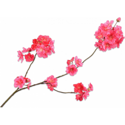 Photo of Silk Flowers