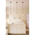 Apiales Wall Lamp