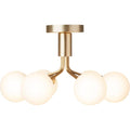 Thumbnail photo of Apiales 6 Ceiling Lamp Brushed