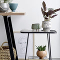 Thumbnail photo of Sacad Flowerpot