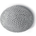 Calipso Ceiling Lamp