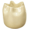 Thumbnail photo of Esther 1