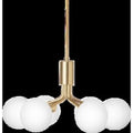 Thumbnail photo of Apiales 6 Chandelier