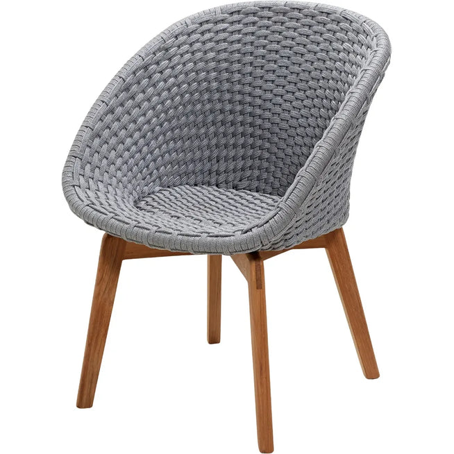 Photo of Peacock Outdoor Chair