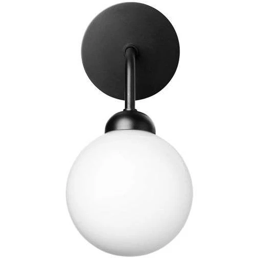 Apiales Wall Lamp