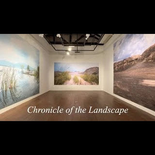 Chronicles of the landscapes