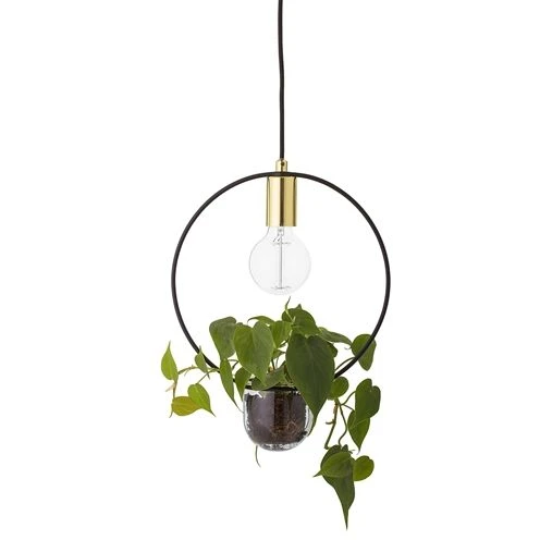 Hanging Lamp Gold Finished Glass