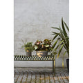 Thumbnail photo of Palissade Bench