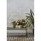 Thumbnail photo of Palissade Bench